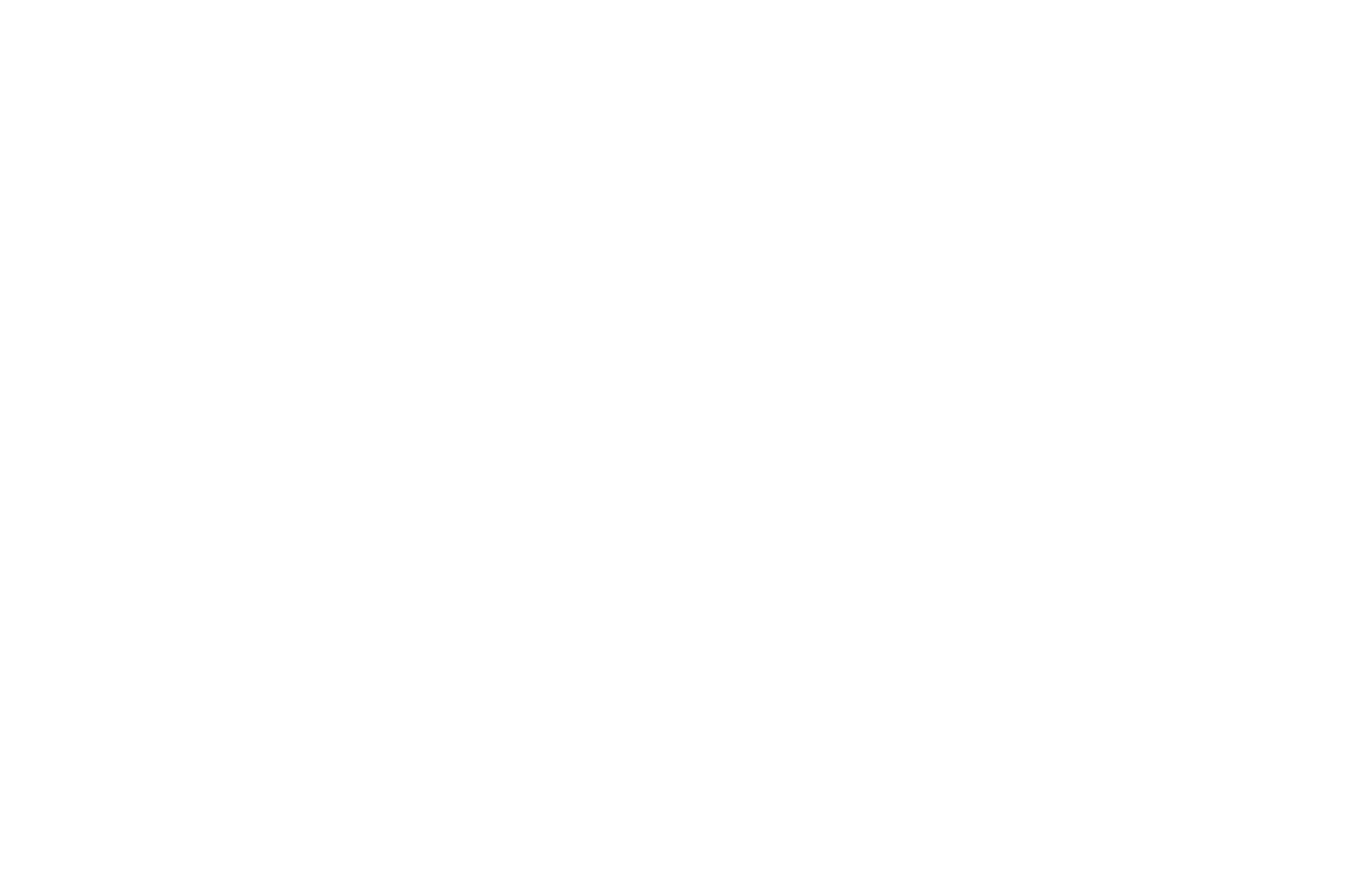 Paralegix Logo